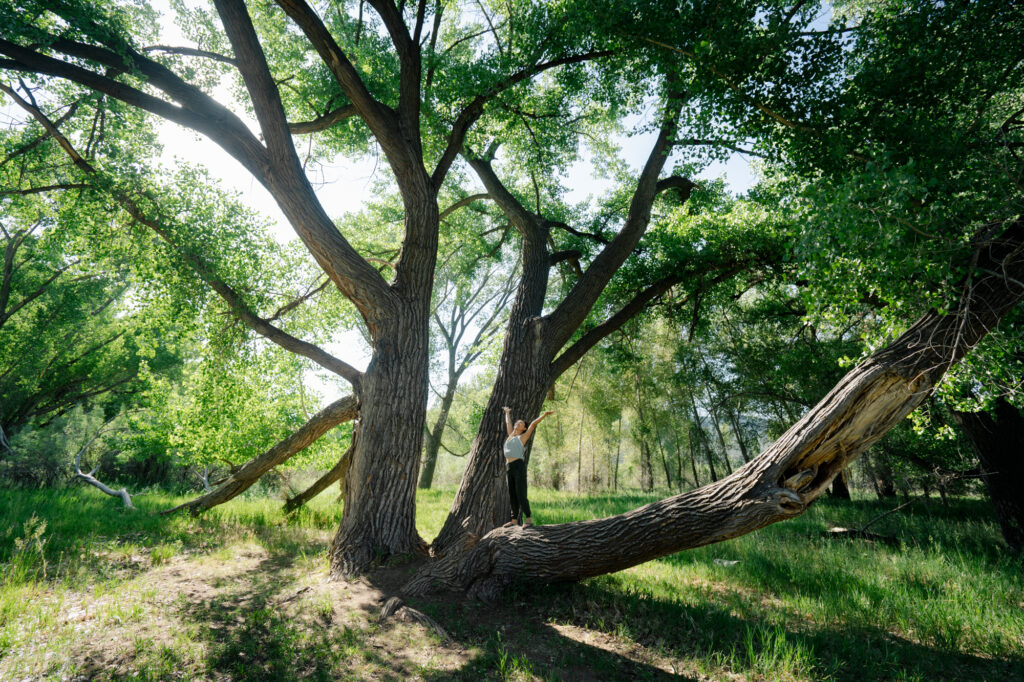 lynn dao shamanic healer, psychedelic therapy, phoenix arizona